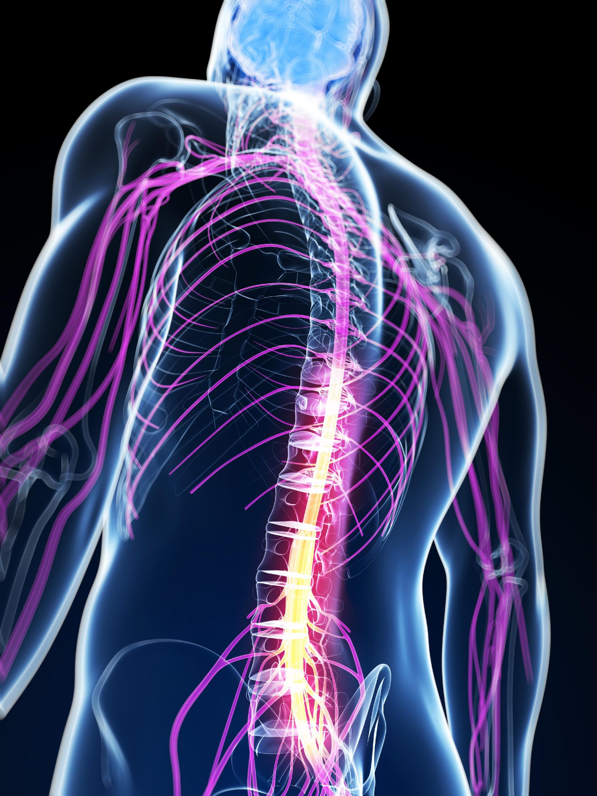 Centro de Neurorrehabilitación en Madrid